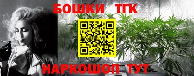 МДПВ Тулун