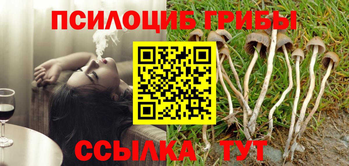 Галлюциногенные грибы прущие грибы  Вход с VPN  Куйбышев 